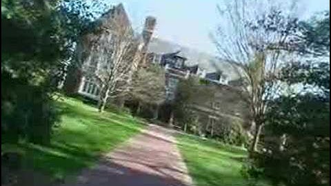 theU.com - Princeton: "The Scene"