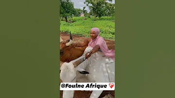 Fulani 