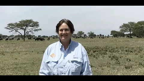 Hillgarth, Nigella. Serengeti: endless plains #UCS...