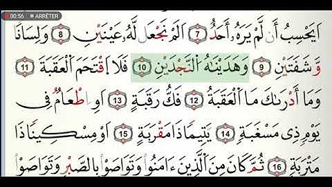 سورة البلد  مكتوبة للشيخ القارئ ياسين الجزائري برواية ورش عن نافع