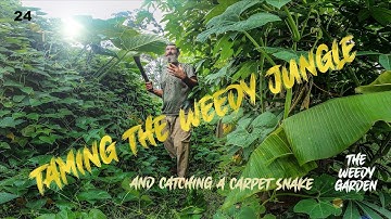 CHOP AND DROP - Feeding a food forest