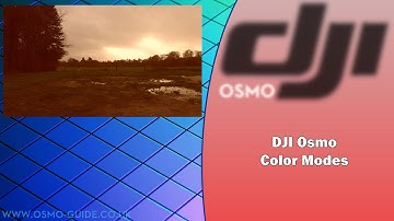 www.osmo-guide.co.uk - ANOTHER DJI Osmo GO App Color Modes Test