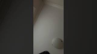 Download Lagu #AmbientMusic MP3 Download Lagu #AmbientMusic MP3
