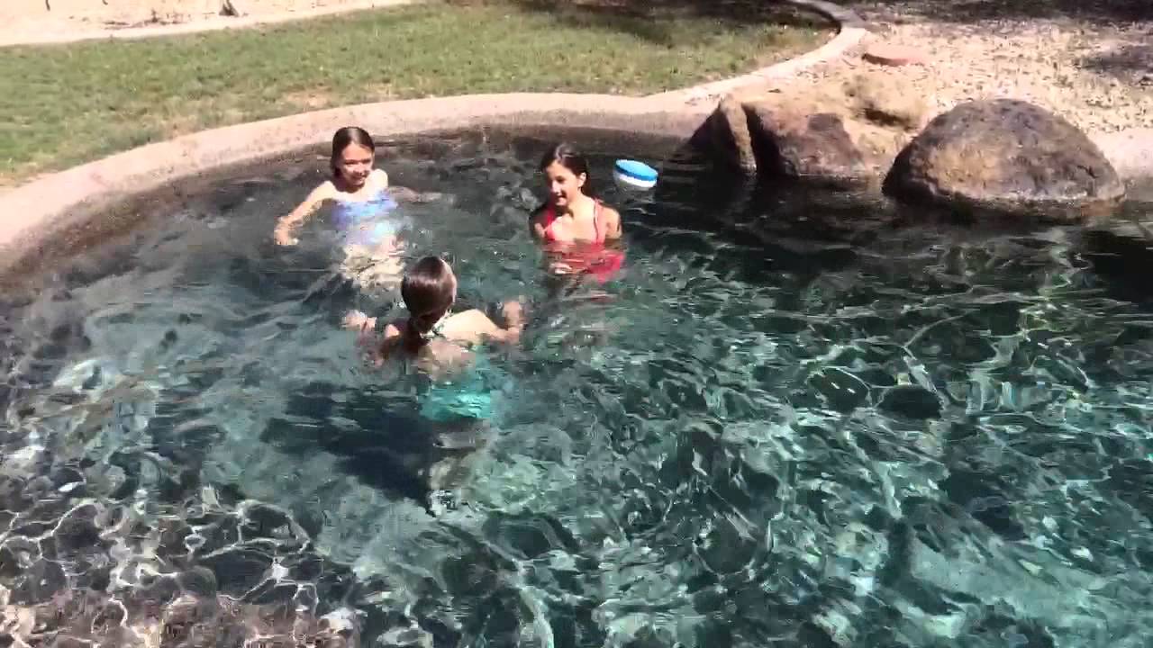 Polar plug challenges YouTube