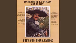Video thumbnail of "Vicente Fernández - Sabrá Dios"