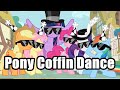Pony Coffin Dance