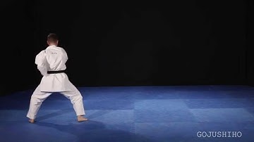 Shito Ryu Shukokai Gojushiho Front View