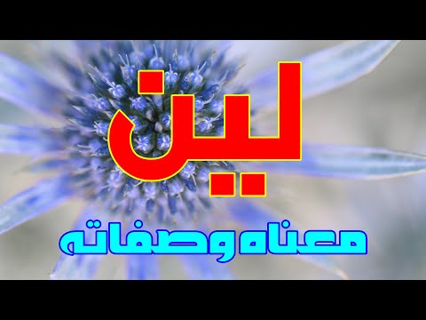 معنى اسم لين وصفات من تحمل هذا الاسم