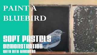 Paint a Female Bluebird in a Window - How to Paint Birds - Birds in Soft Pastel with Rita Ginsberg screenshot 4