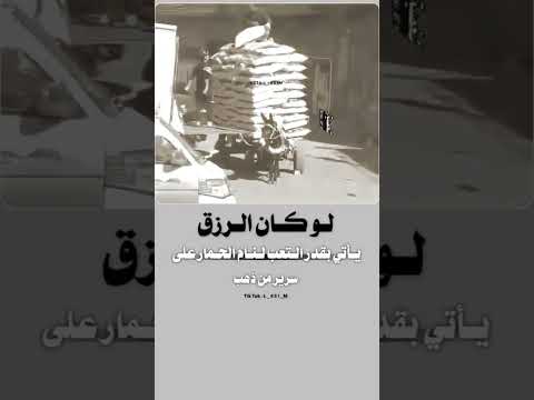 لو كان الرزق ياتي على قد التعب لنام الحمار على سرير من ذهب