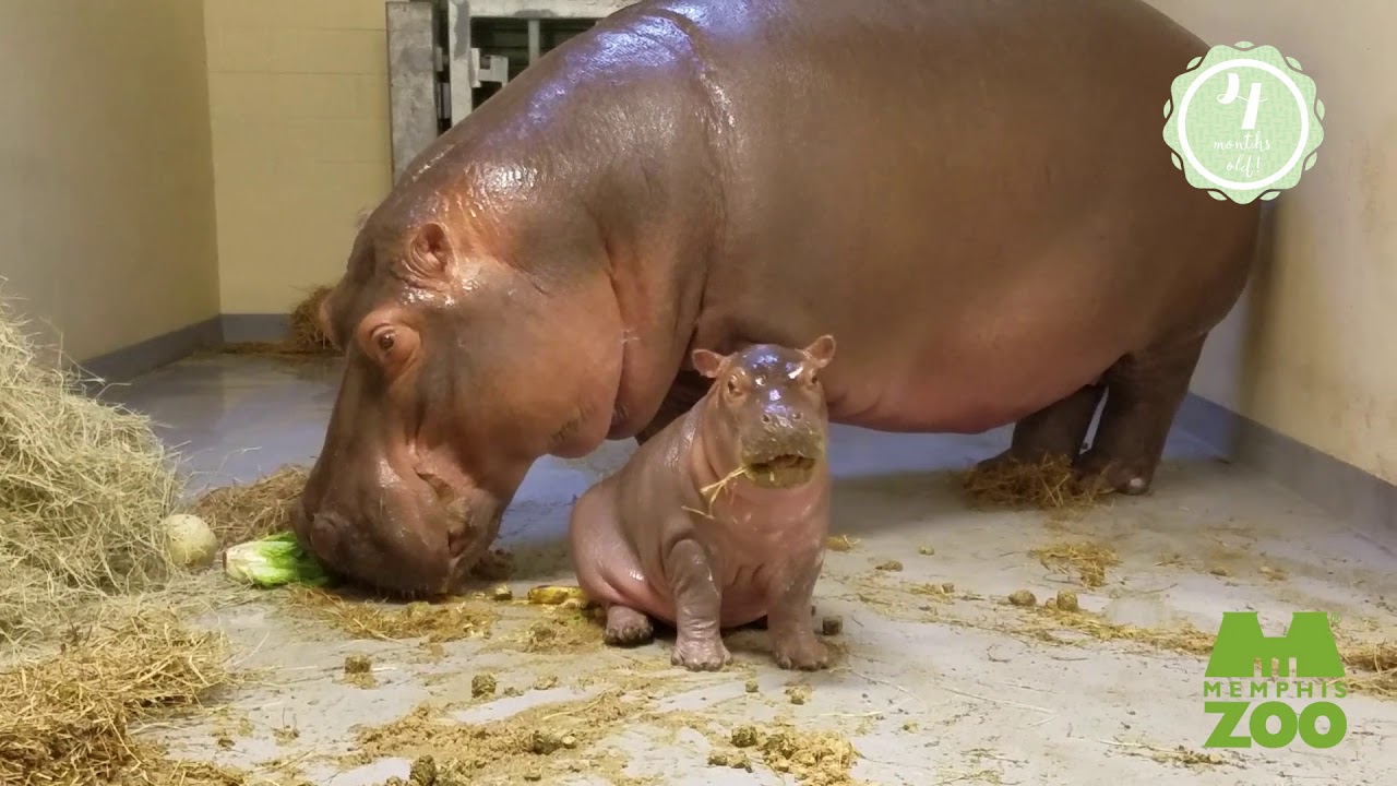 Winnie Wednesday – January