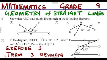Mathematics Grade 9 Geometry of Straight Lines Exercise 3 Term 3 @mathszoneafricanmotives