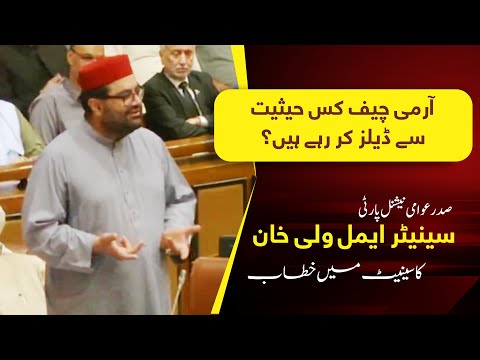 Aimal Wali Khan's Powerful Speech | Exposing Punjab's Authoritarian Role & Constitutional Violations