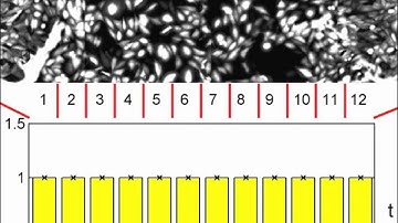 A robust diffusion-based gradient generator for dynamic cell assays