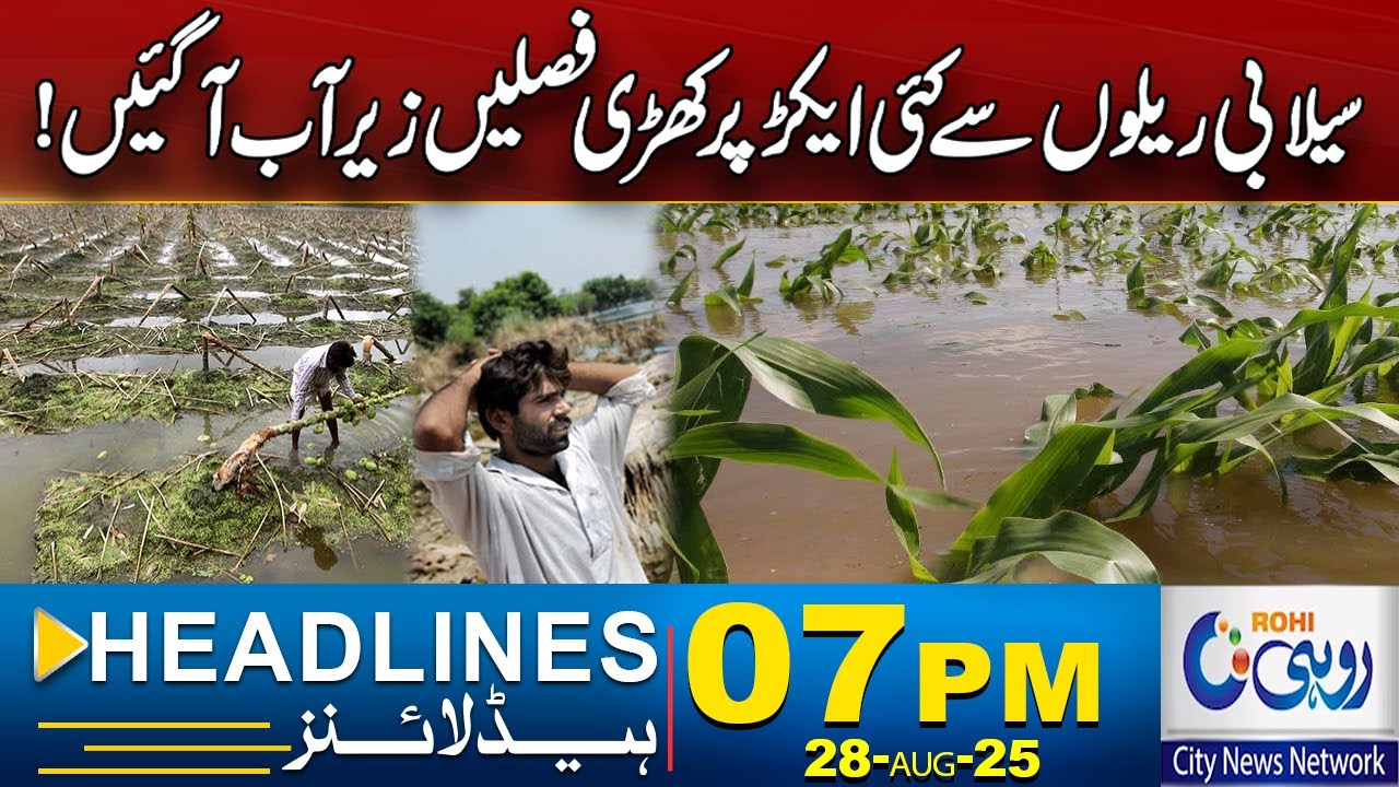 Crops Destroyed By Flood ! l 7pm News Headlines | 28 Aug 2025 | Rohi