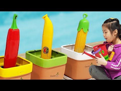 서은이의 화분 가꾸기 바나나 옥수수 우산 츄파춥스 사탕 타요 <strong>Seeds</strong>, <strong>Candy</strong>, and Umbrella