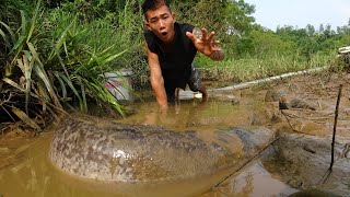 Exciting Fishing- Catch Fish By Using A Pump To Drain The Water In The Lake , Catch A Lot Fish #Fish