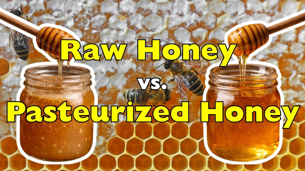 Натуральный мед против пастеризованного меда: что лучше использовать? [ID0924]