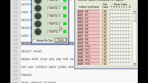 AVR SIMULATOR tutorial- leds, switch interface.avi