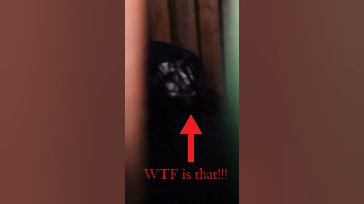 Terrifying... What is this?... or is it just pareidolia. #paranormal #scary #ghost #urbex #shorts