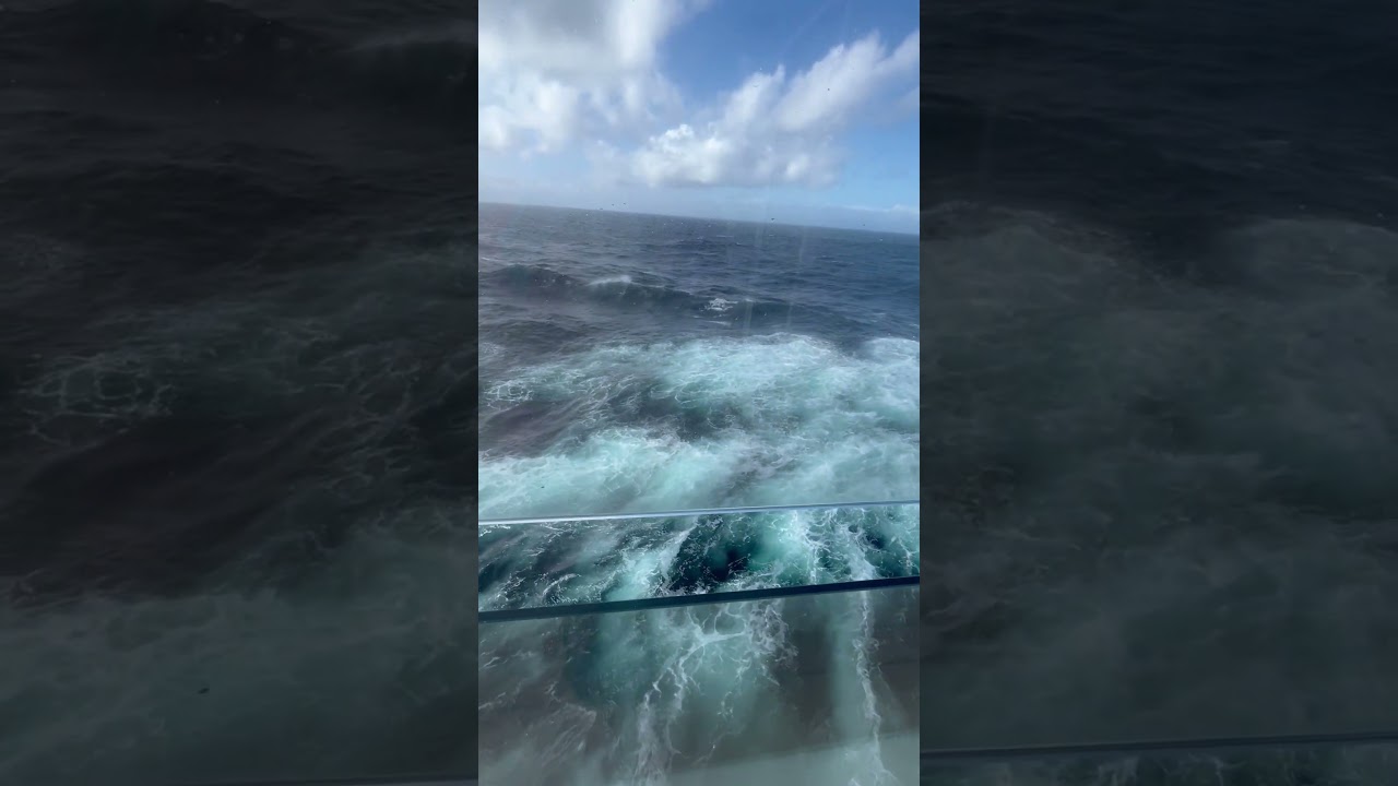 Day 17 at sea #holiday #shortvideo #cruiseship