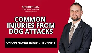 What Injuries Commonly Occur From Dog Attacks | Graham Law