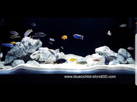 Rocce per acquario - Acquari