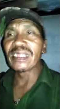 pantek pantek di dinding