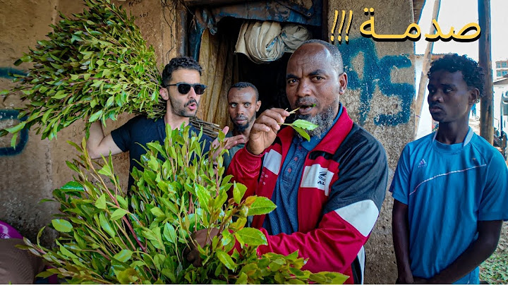 زرت اكبر سوق قات بالعالم | الحبشة إثيوبيا