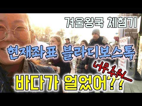러시아여행) 바��다가 얼었다고?? 겨울왕국체험기 블라디보스톡