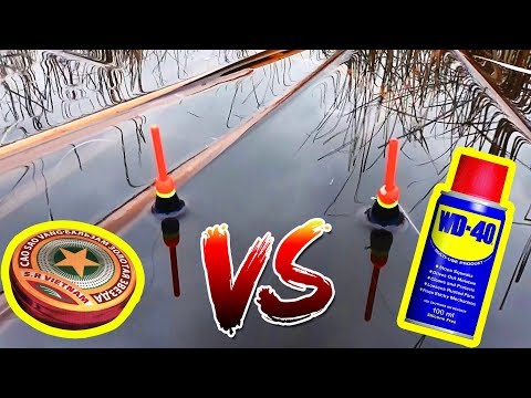 WD-40 против ЗВЁЗДОЧКИ | КАРАСЬ | КТО БЫ МОГ ПОДУМАТЬ!?!?!