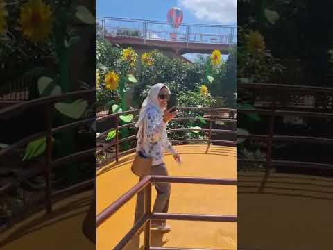 LOL Funny Comedy Trending Viralvideo