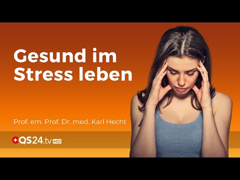 Gesund im Stress leben | Prof. em. Prof. Dr. med. Karl Hecht | NaturMEDIZIN | QS24