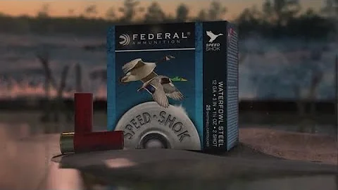 Come fare SPID con FedERa?
