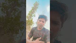 Mynewvideo 13 January 2026