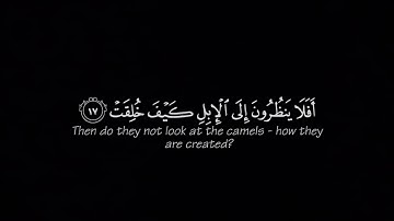 [افلا ينظرون إلى الابل كيف خلقت] كروما قرآن شاشه سوداء - سورة غاشية-القارئ:عبدالرحمن مسعد