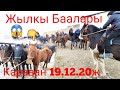 👉Караванда Ат Базар кызуу болду 19.12.20ж|Тайдын ээси жардыго 👍