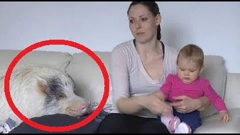 Proč je agrese spojena s pocity moci?