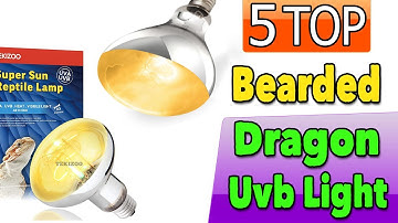 Best Bearded Dragon Uvb Light Fixture