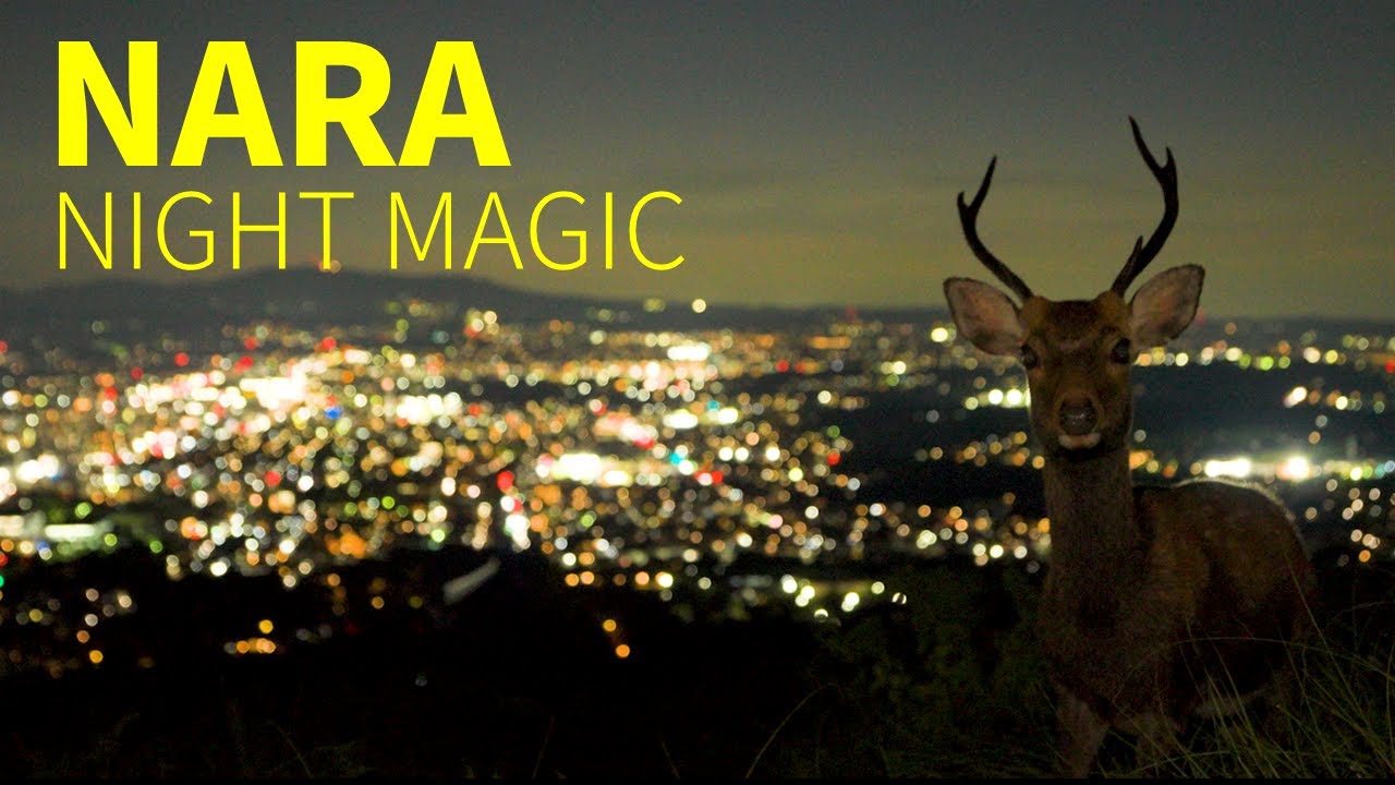 NARA NIGHT MAGIC | Official Tourism Film（30s） - YouTube