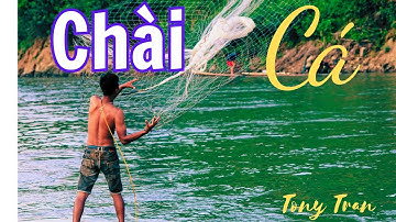 CHÀI CÁ TỚI TỐI XUỐNG LUÔN | hấp dẫn lôi cuốn | Tony Tran Vlogs