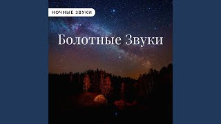 Сонная Ночная Жизнь