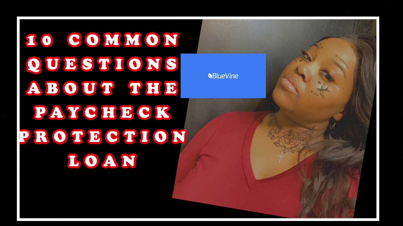 10-most-asked-questions-about-the-ppp-loan-bluevine-lendio-kabbage