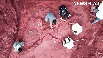 Nearly Intact 180 Million Year Old Jurassic Dinosaur Discovered In China