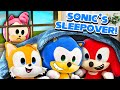 Sonics sleepover  sonic  amy plush squad