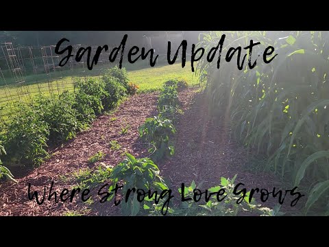 GARDEN UPDATE | GARDEN TOUR | EARLY JULY 2022