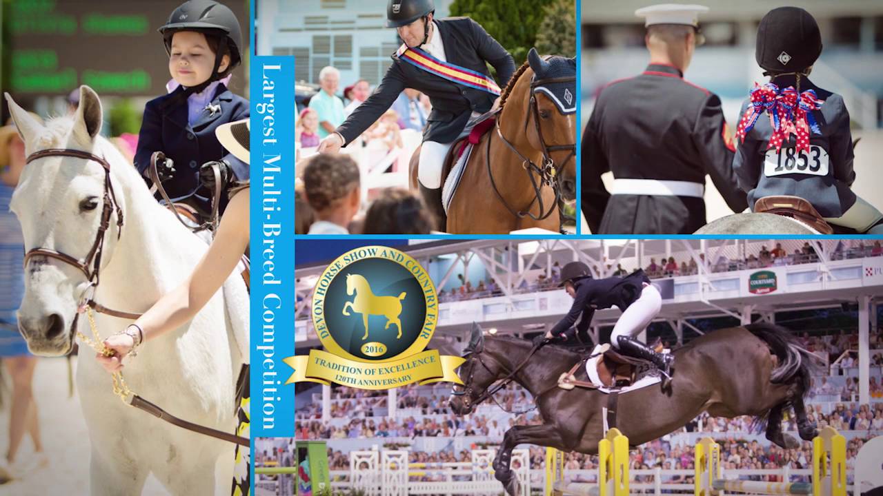 Devon Horse Show