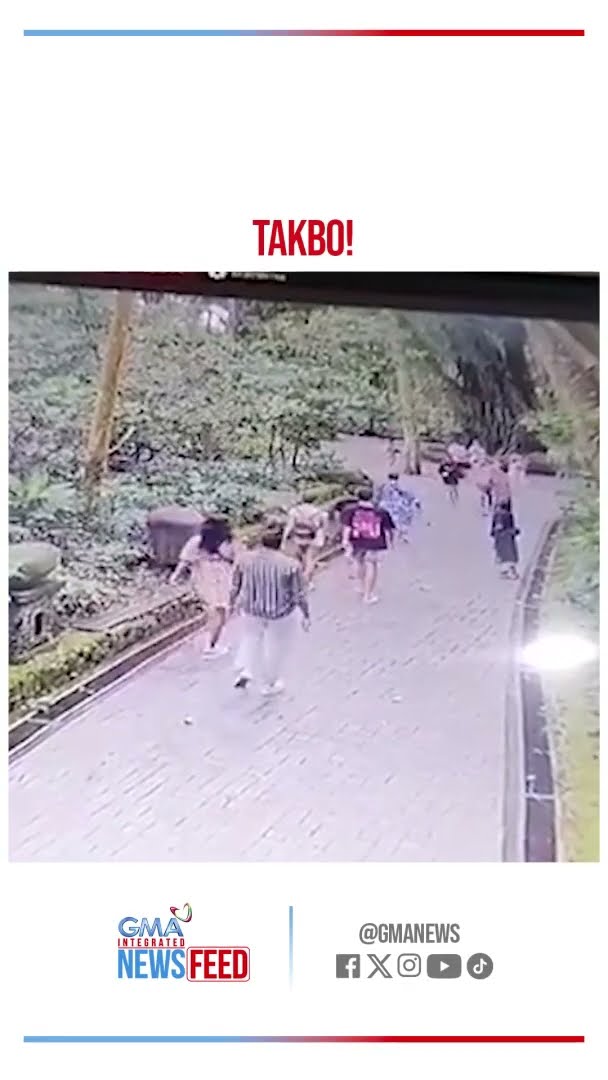 2 turista, nasawi sa biglaang pagbagsak ng malaking puno!| GMA Integrated Newsfeed