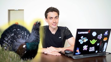 Wild capercaillie attacked a man