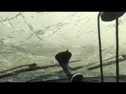 GORILLA HAIL destroys SUBARU! Windows blown out, mirrors destroyed etc